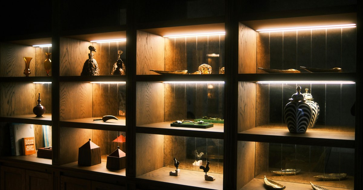 shelving units collectible display — photo by Eyüpcan Timur