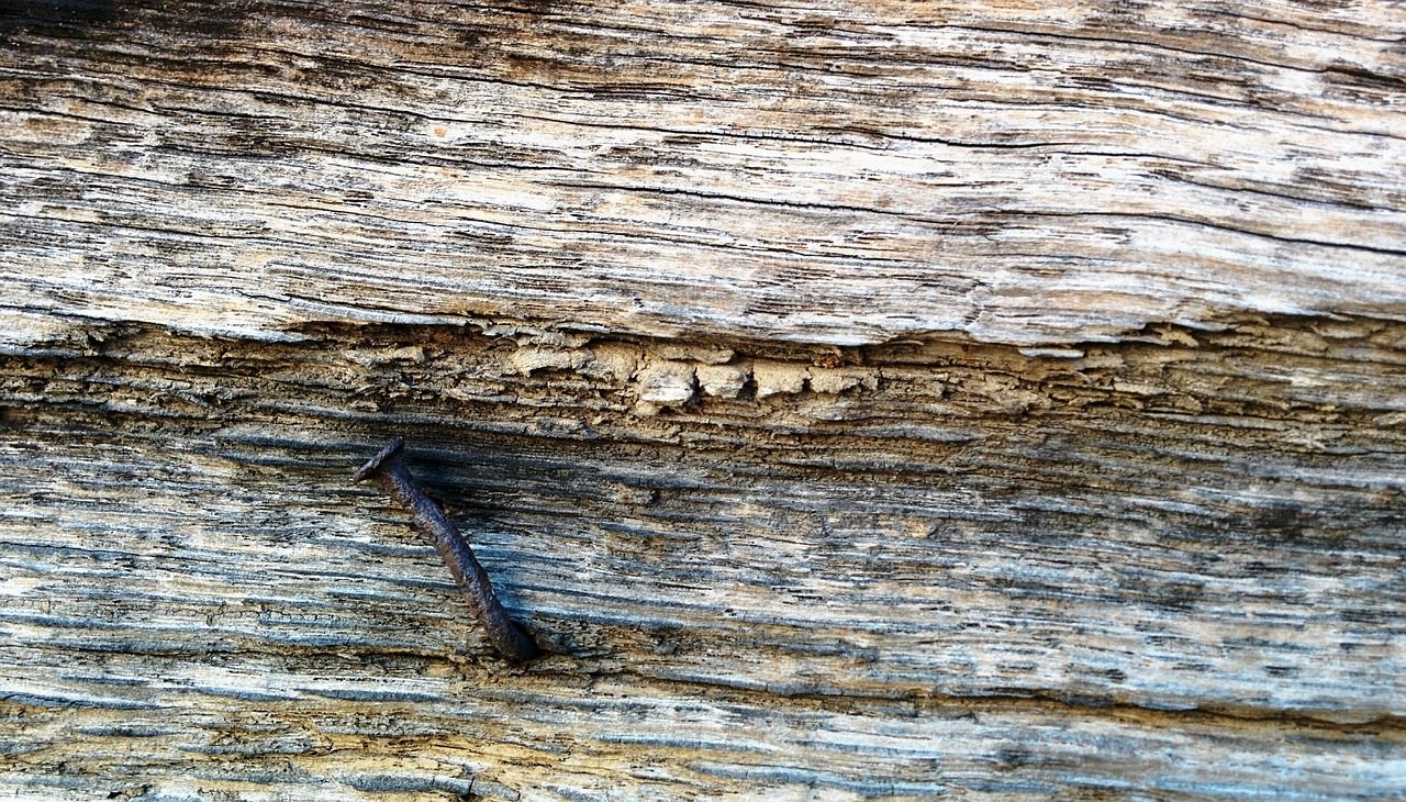 wood, nail, rusty, wooden, timber, construction, plank, carpentry, board, hammer, tool, texture, industry, old, lumber, 