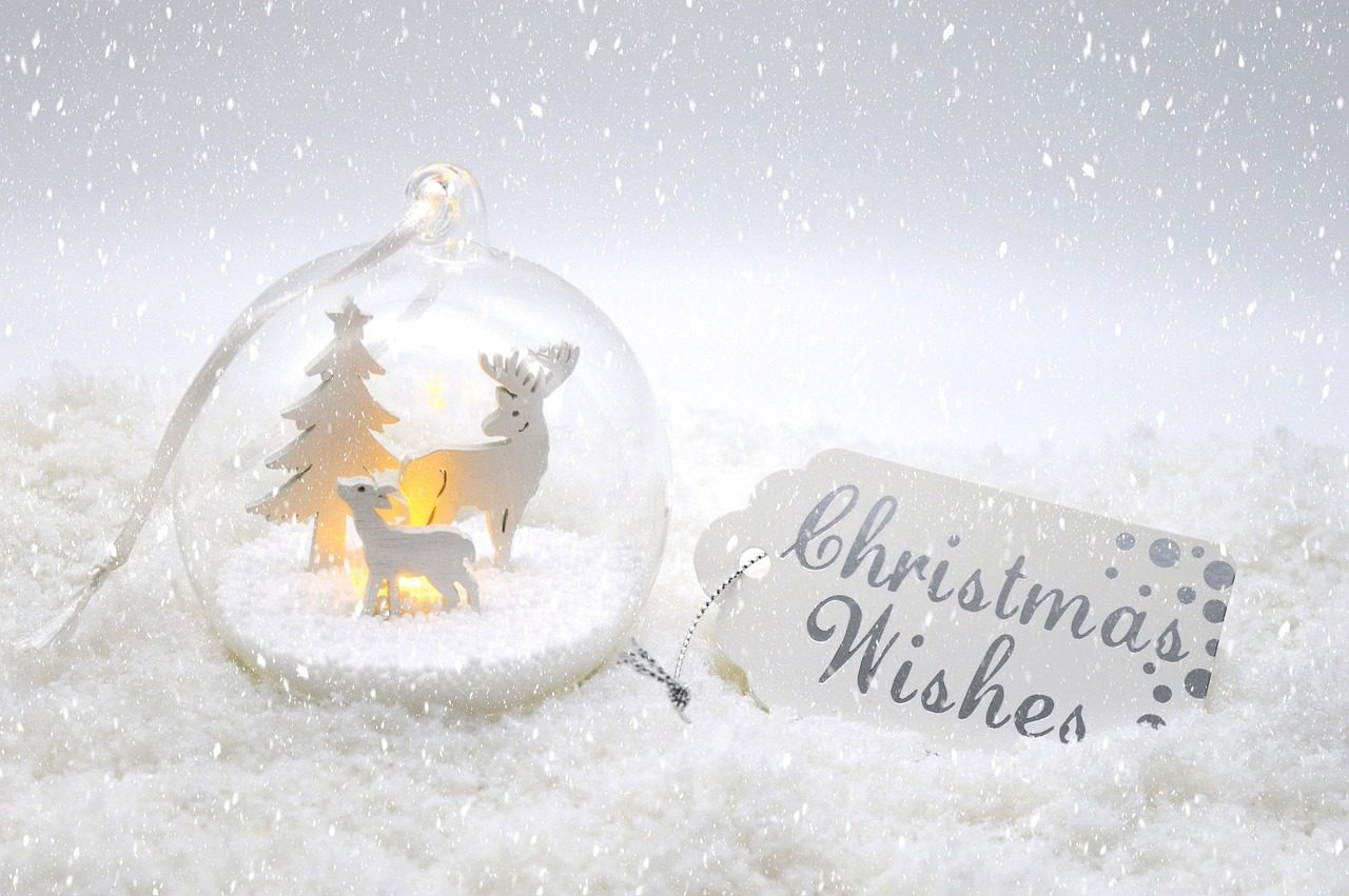 christmas wishes, winter, snow globe, nature, christmas, christmas motif, christmas greeting, christmas card, christmas 