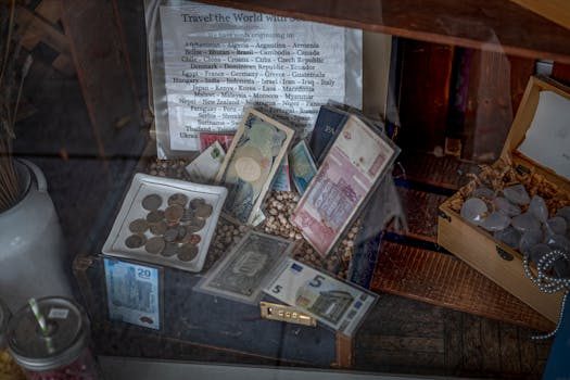 A shadow box displaying neatly arranged collectible pins and coins on velvet backing