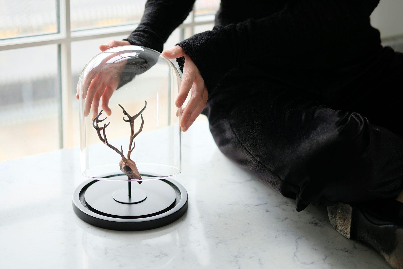A person in black clothing holding a glass cloche over a deer skull