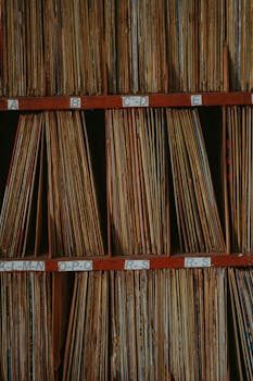 Vinyl records on a shelf with alphabet dividers for organization
